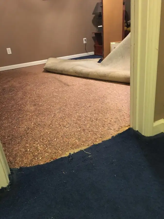 Carpet pad removal revealing water damage during Drying & Dehumidification in Sierra Madre