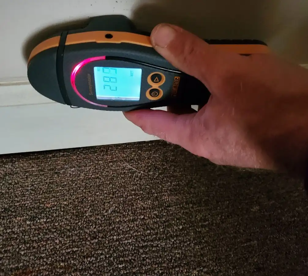Moisture detection at baseboard during Sewage Cleanup & Sanitation in Sierra Madre